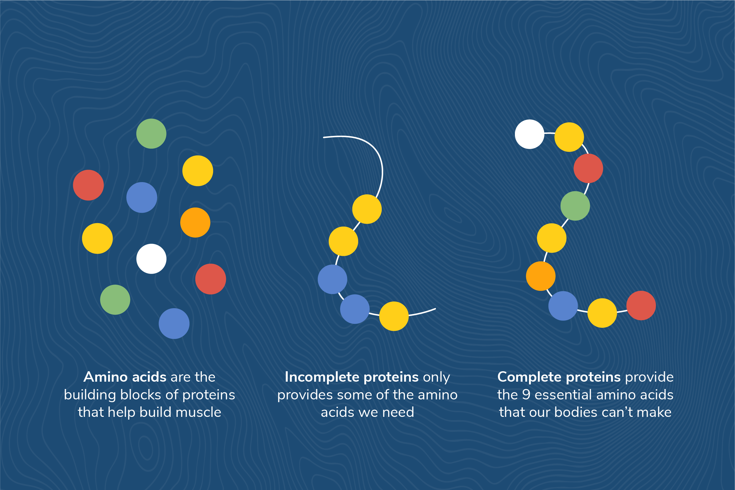 Everything You Need to Know About FungiBased Proteins Nature’s Fynd