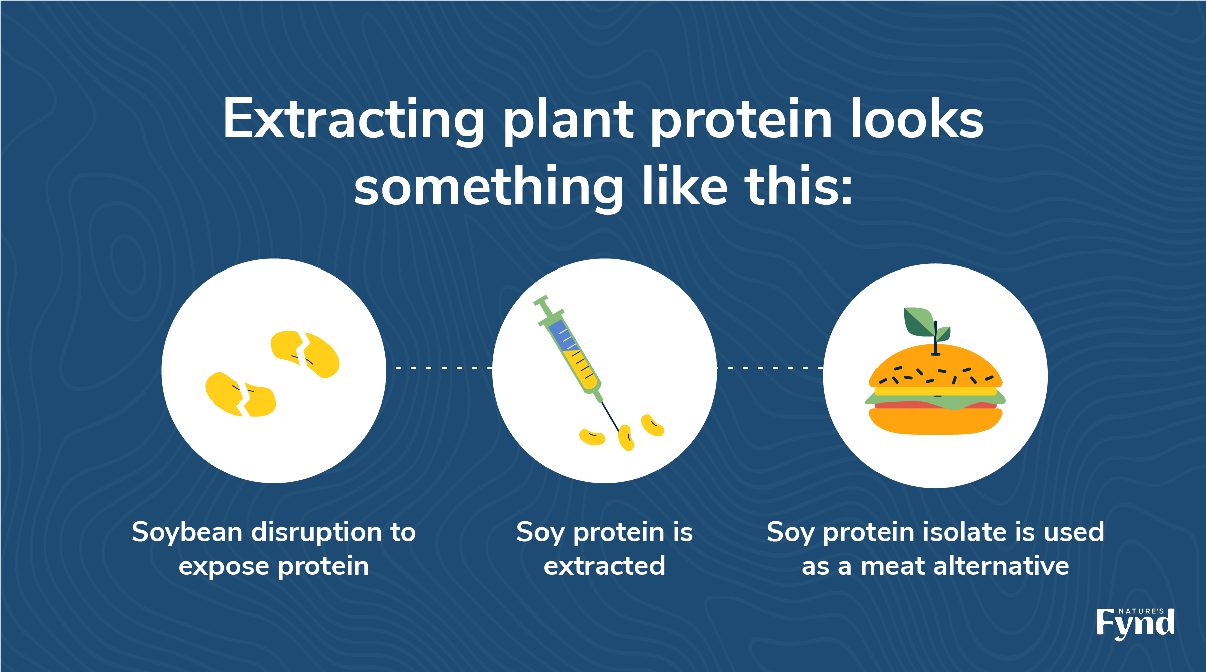 Plant-based protein-An alternative approach to food - Spire